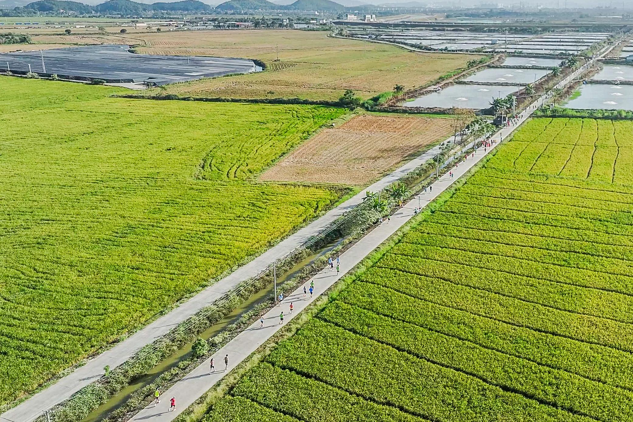 广东省马拉松_广东马拉松排名_广东地区马拉松