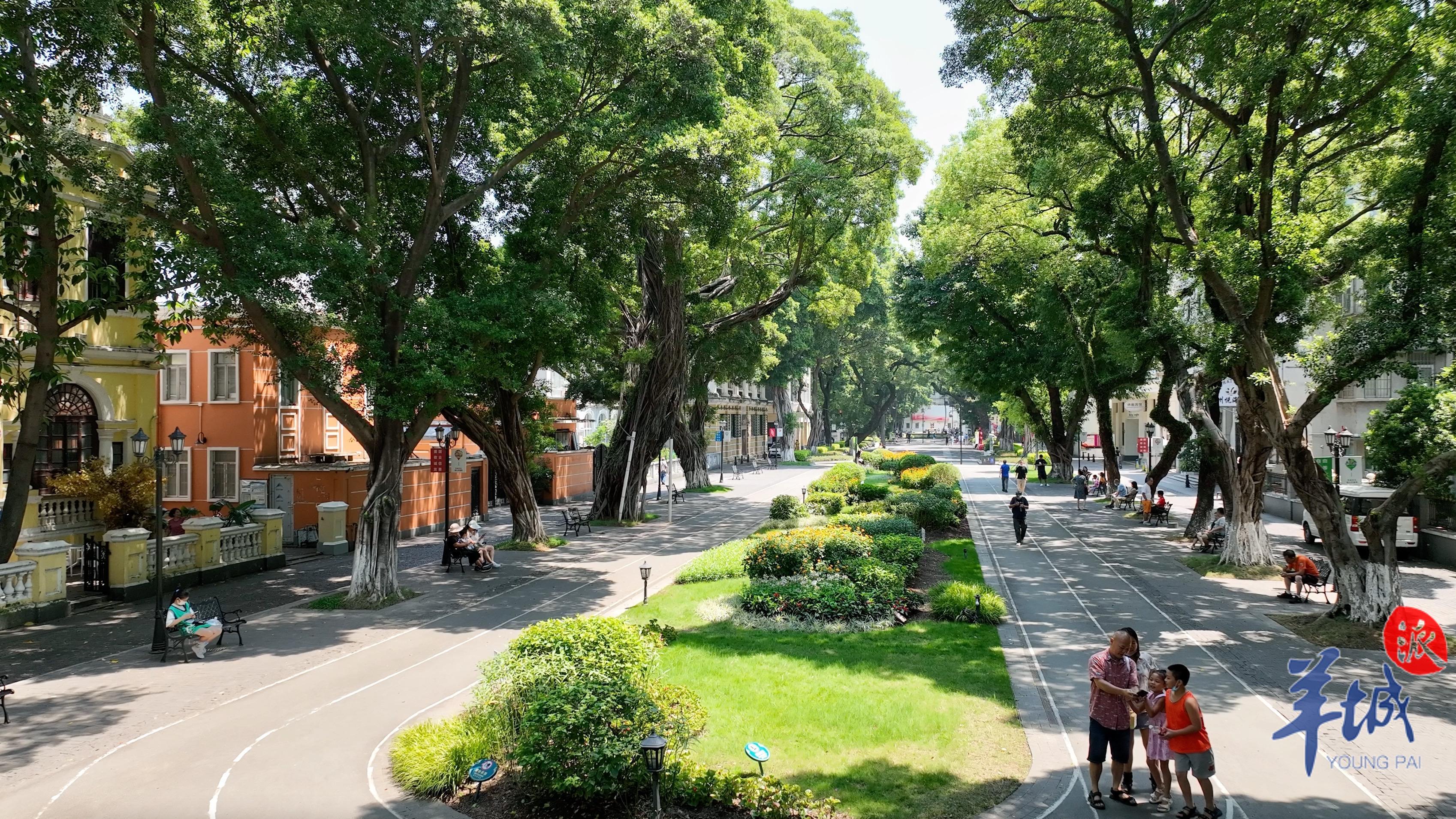 广东地区马拉松_广东省马拉松_广东马拉松排名