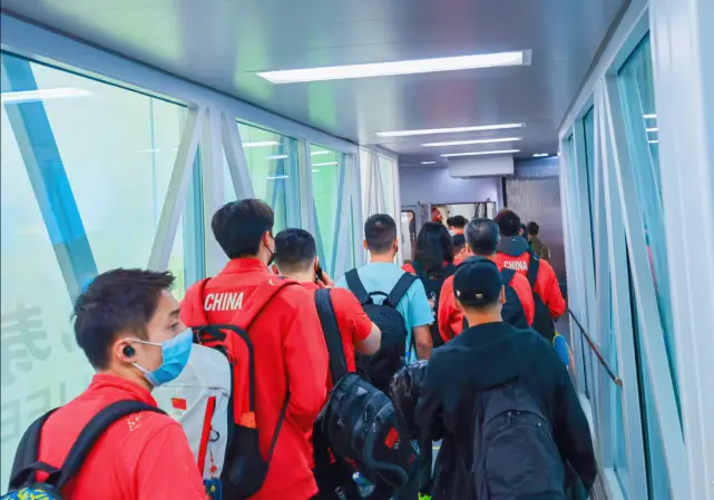 可爱的游泳奥运冠军是谁_游泳奥运冠军_游泳奥运可爱冠军是谁