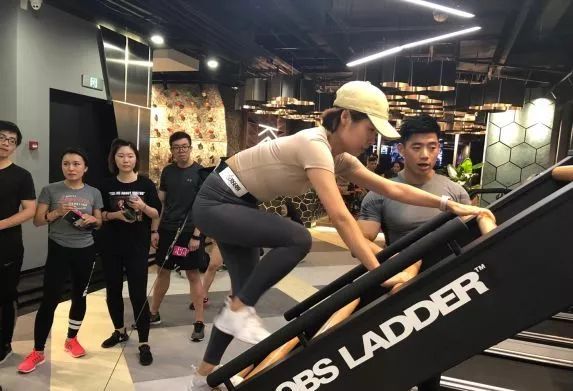 健身房会运动的猫_健身猫动图_健身猫真的能赚钱吗