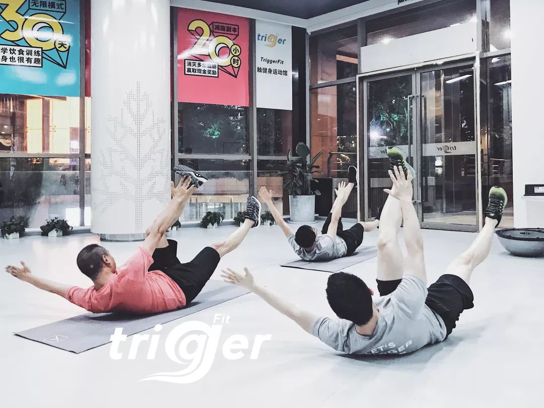 健身猫真的能赚钱吗_健身房会运动的猫_健身猫动图